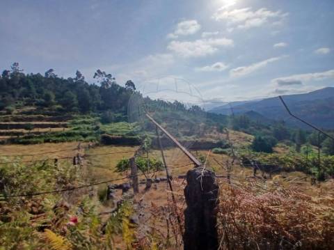 Terreno  para venda