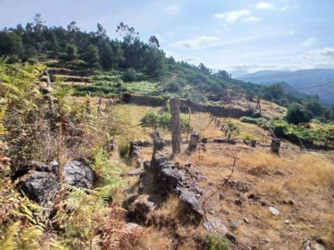 Terreno  para venda