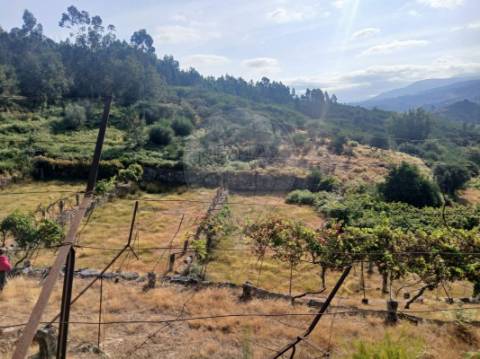 Terreno  para venda