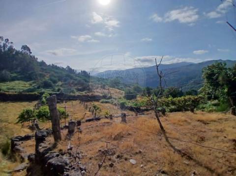 Terreno  para venda