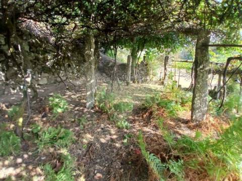 Terreno  para venda