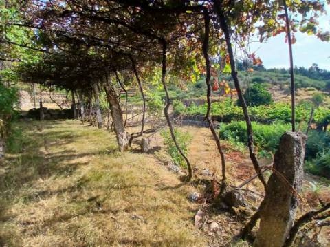 Terreno  para venda