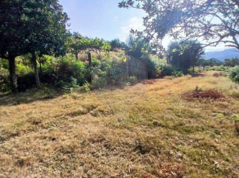Terreno  para venda