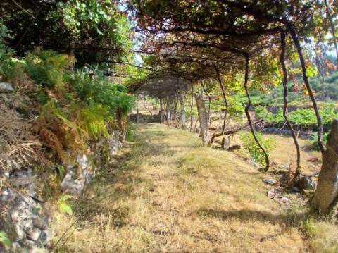 Terreno  para venda