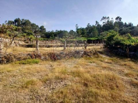 Terreno  para venda