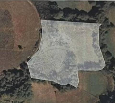 Terreno  para venda