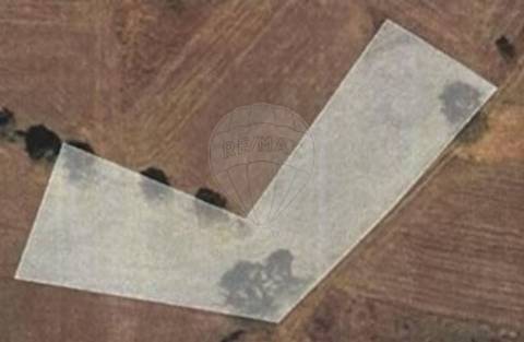 Terreno  para venda