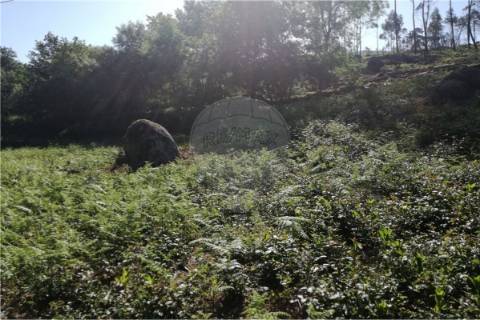 Terreno  para venda