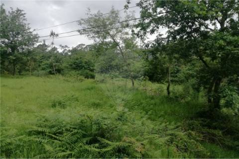 Terreno  para venda