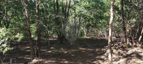 Terreno  para venda