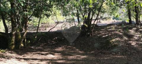Terreno  para venda