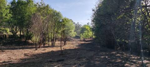Terreno  para venda