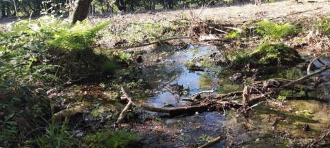 Terreno  para venda
