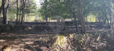 Terreno  para venda