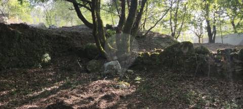 Terreno  para venda