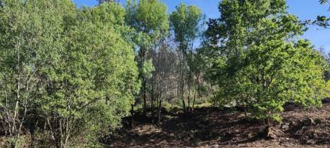 Terreno  para venda