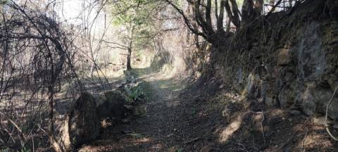Terreno  para venda
