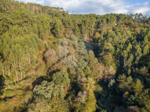 Terreno  para venda