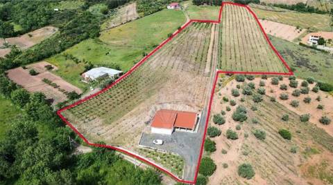 Industrial  para venda