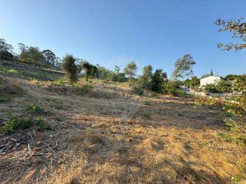 Terreno  para venda