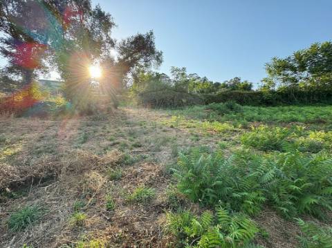 Terreno  para venda