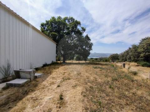 Terreno  para venda