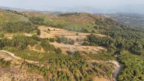 Terreno  para venda