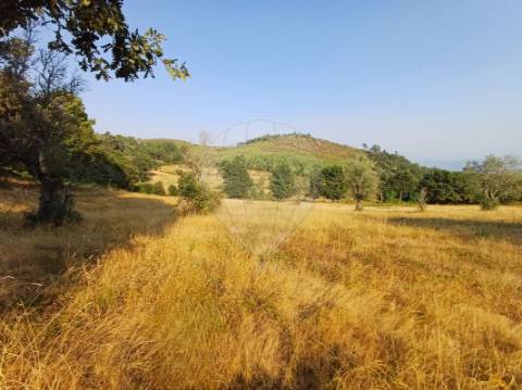 Terreno  para venda