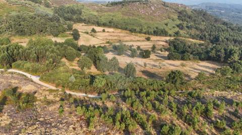 Terreno  para venda