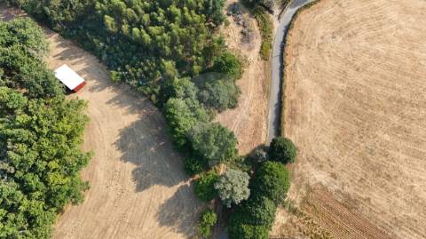 Terreno  para venda