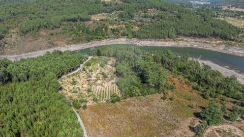 Terreno  para venda