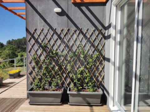 Terreno  para venda