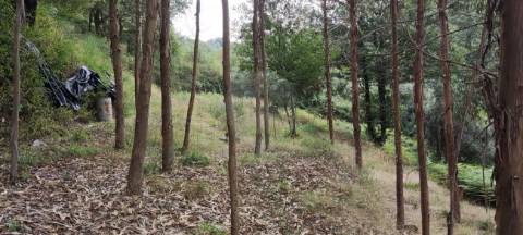 Terreno  para venda