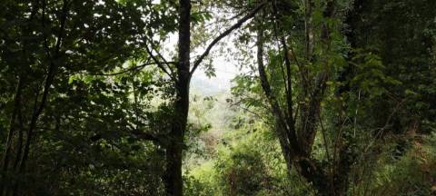Terreno  para venda
