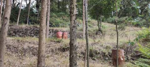 Terreno  para venda