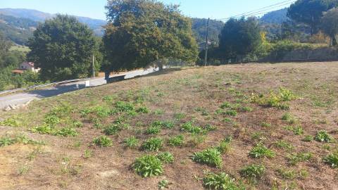 Terreno  para venda
