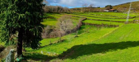 Terreno  para venda