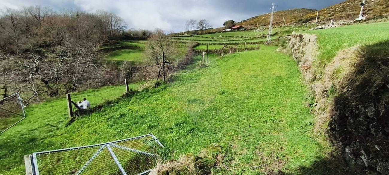 Terreno  para venda