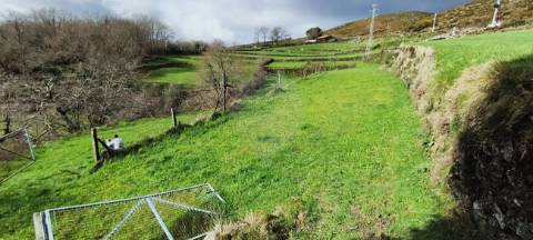 Terreno  para venda