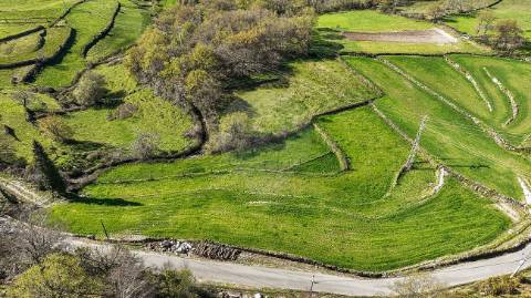 Terreno  para venda