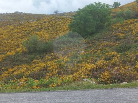 Terreno  para venda
