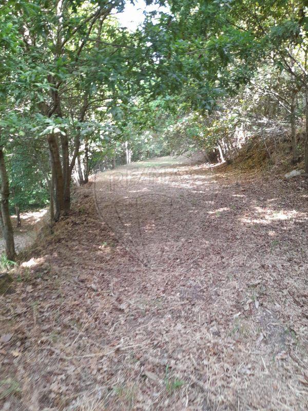 Terreno  para venda