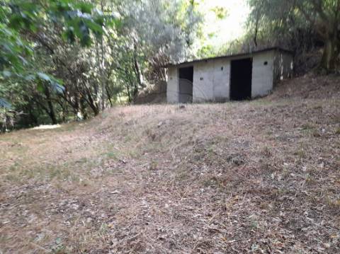 Terreno  para venda