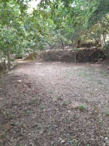 Terreno  para venda