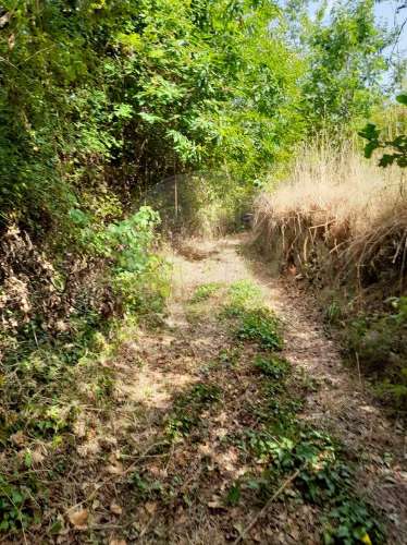 Terreno  para venda