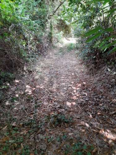 Terreno  para venda