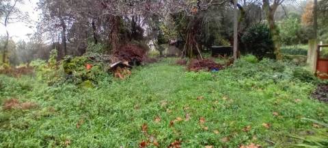 Terreno  para venda