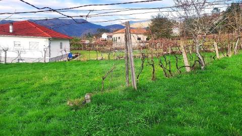 Terreno  para venda