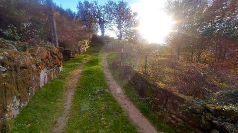 Terreno  para venda