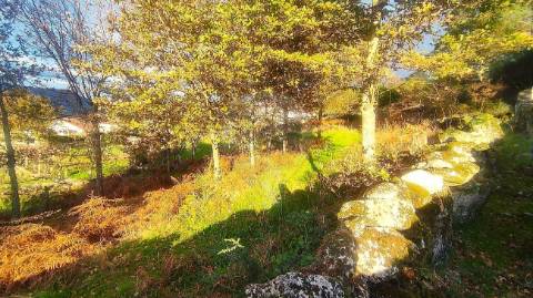 Terreno  para venda